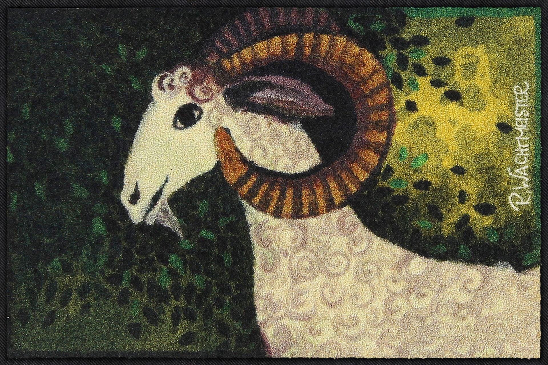 Fußmatte 50x75 Riccia