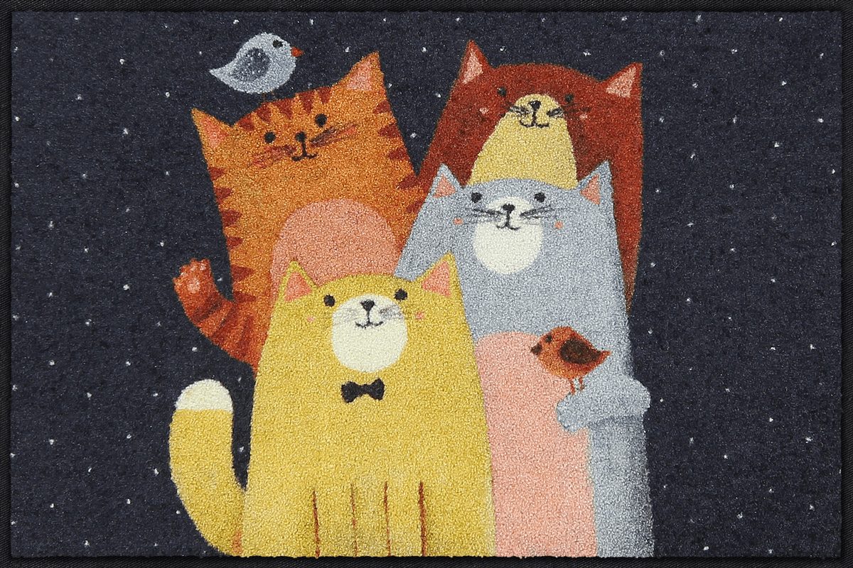 Fußmatte 50x75 Cat-Quartet bunt