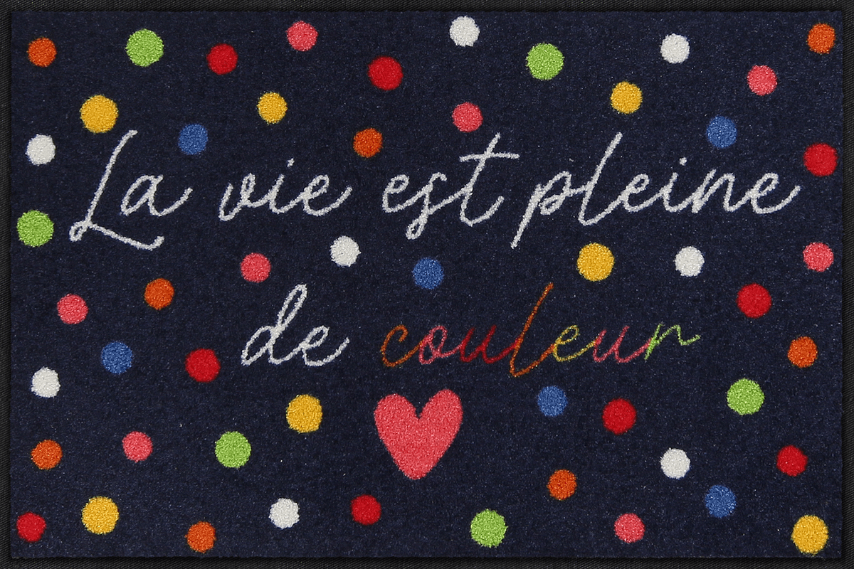 Fußmatte 50x75 Vie colorée