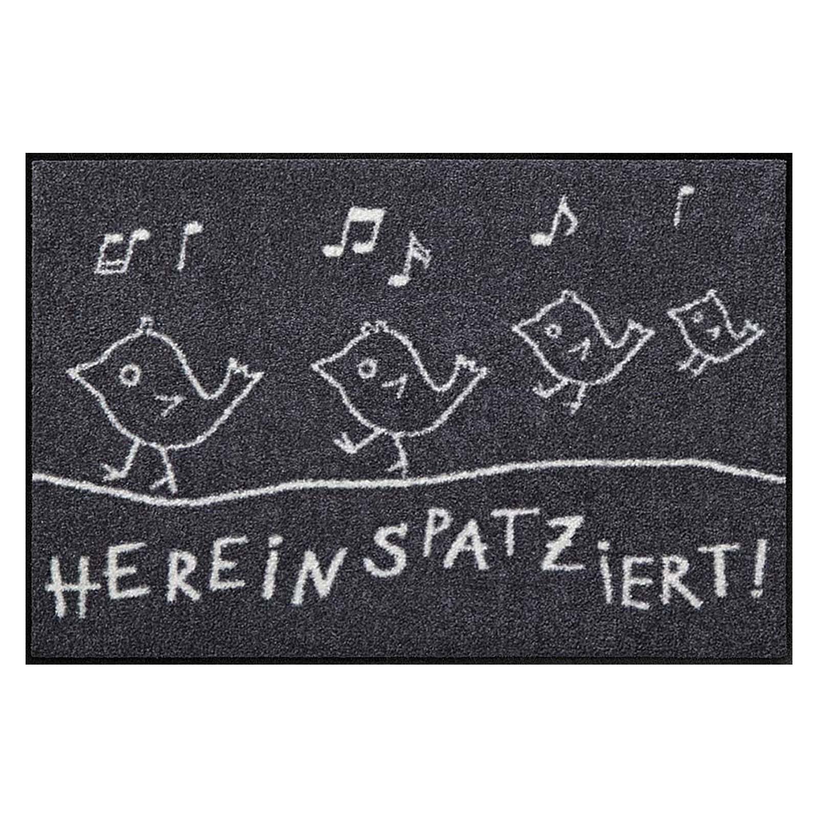 Fußmatte 50x75 Hereinspatziert grau