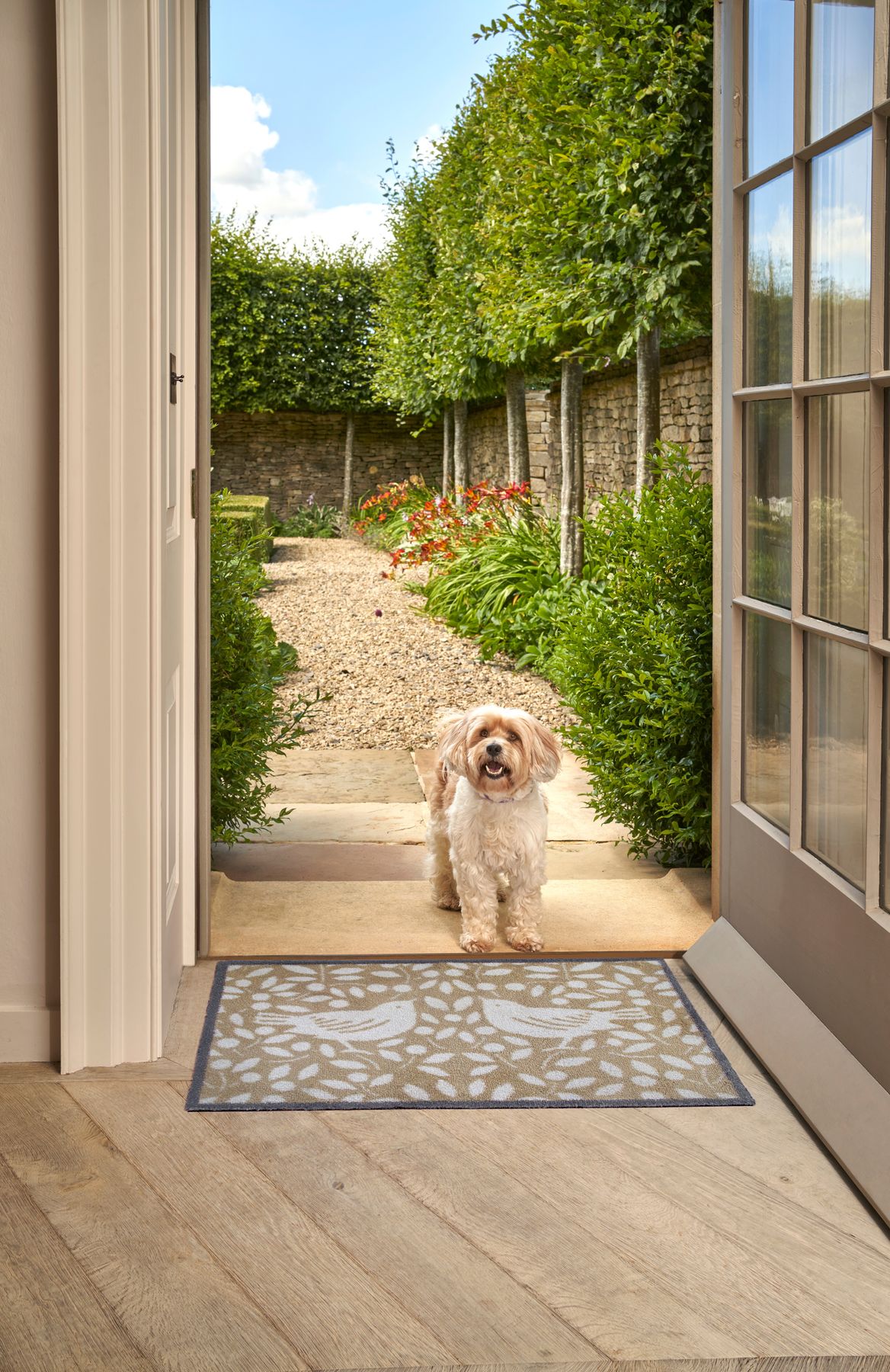 Fußmatte 60x85 Looting Fruits Neutral blau