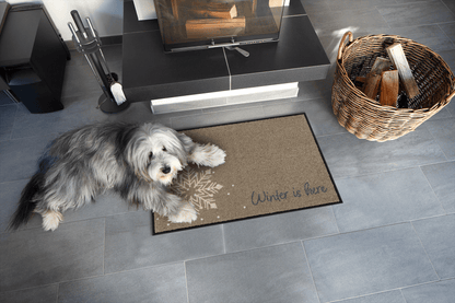 Fußmatte 50 x 75 cm Winter is Here beige