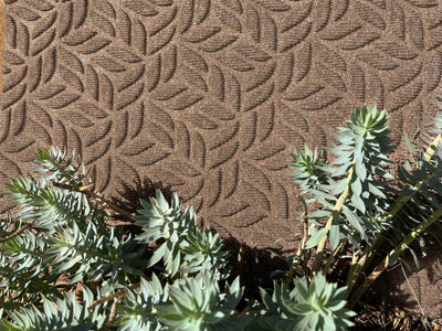 Fußmatte 60x90 Dune Leaves Dark Grey anthrazit
