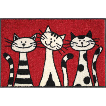 Fußmatte 50x75 Three Cats