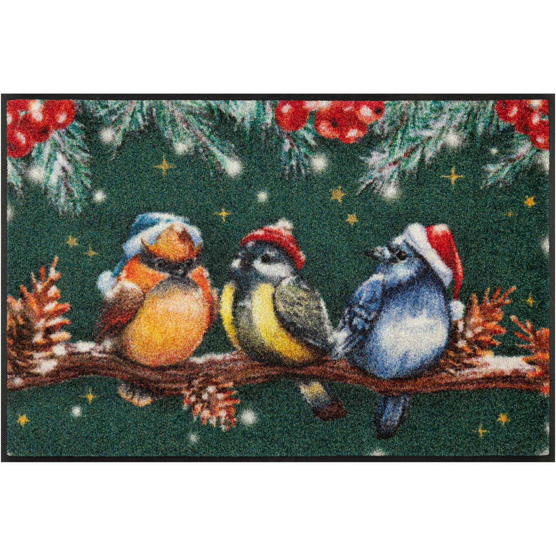 Fußmatte 50x75 Magic Birds grün